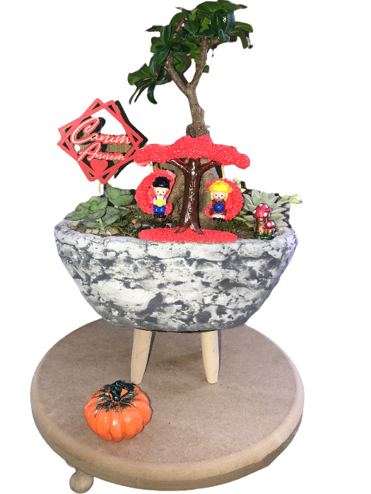 dekoratif-saksida-bonsai---teraryum-9986