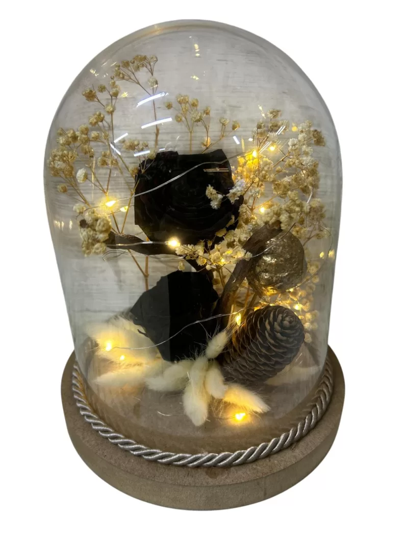 Solmayan canlı siyah gül