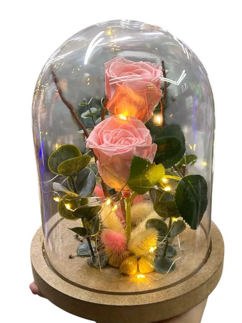 şoklanmış canlı solmayan pembe güller